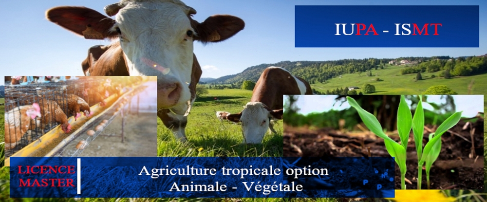 Example blog post alt